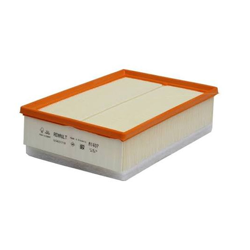 [165465171R] FILTRO DE AIRE