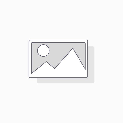 FILTRO DE GASOLINA